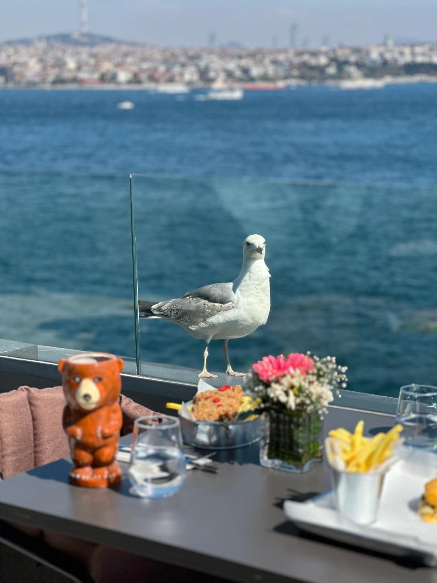 Pera Bosphorus Hotel イスタンブール エクステリア 写真